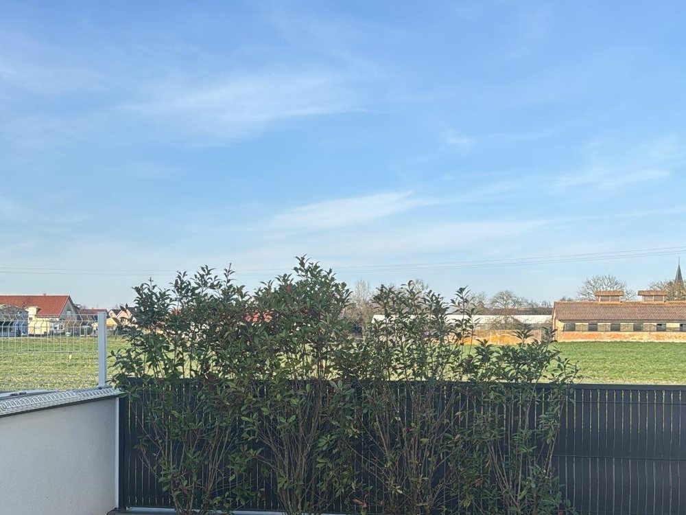 Jardin clôturé & pelouse