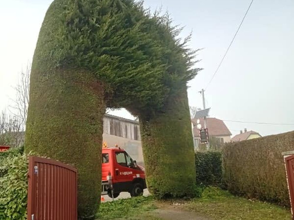 Taille sculptée