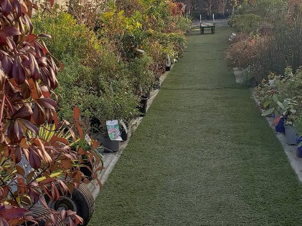 Serres & plants